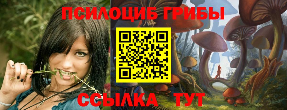 Псилоцибиновые грибы GOLDEN TEACHER  Абакан  Псилоцибиновые грибы MAGIC MUSHROOMS 