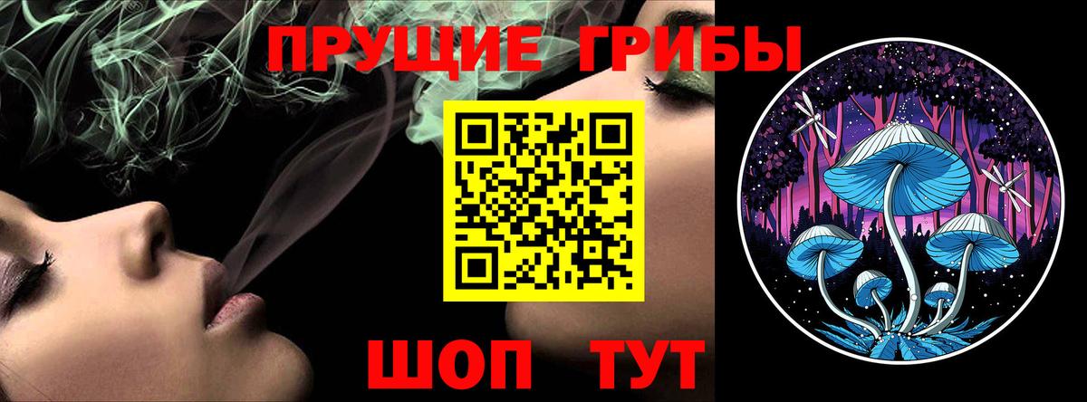 Абакан  Псилоцибиновые грибы Psilocybine cubensis  Вход с VPN 