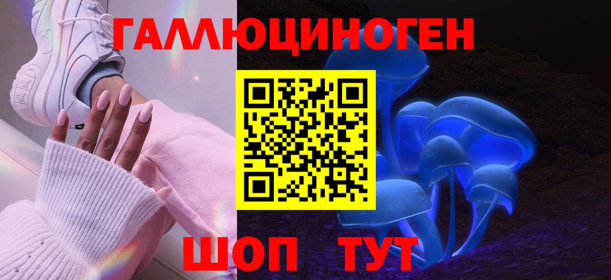 Галлюциногенные грибы прущие грибы Абакан